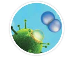 Disinfect viruses and bacteria Lotus-Pro Tersano Spain